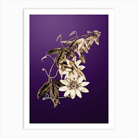 Gold Botanical Mrs. Marryat's Tacsonia Flower on Royal Purple n.0195 Art Print