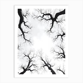 Bare Trees Art Print