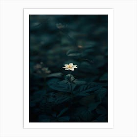 Lotus Flower 39 Art Print