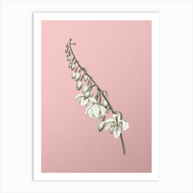 Vintage Giant Cabuya Botanical on Soft Pink Art Print