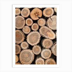 Wood Pile Art Print