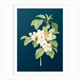 Vintage Apple Blossom Botanical Art on Teal Blue n.0758 Art Print