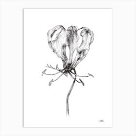 Black and White Flame Lilly 1 Art Print