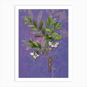 Vintage White Honeysuckle Plant Botanical Illustration on Veri Peri n.0710 Art Print