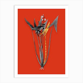 Vintage Arrowhead Black and White Gold Leaf Floral Art on Tomato Red n.0581 Art Print