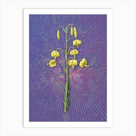 Vintage Lilium Pyrenaicum Botanical Illustration on Veri Peri n.0442 Art Print