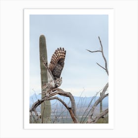 Arizona Great Horned Owl Art Print