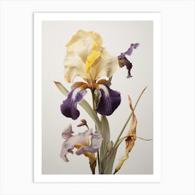Pressed Flower Botanical Art Iris 2 Art Print
