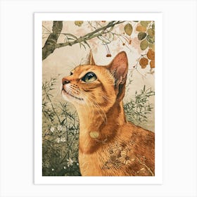 Abyssinian Cat Japanese Illustration 1 Art Print