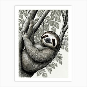 Sloth In The Tree 1 Art Print