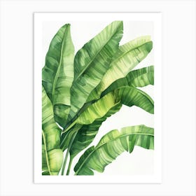 Watercolor Banana Leaves Art Print