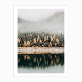 Forest Along Lake Art Print