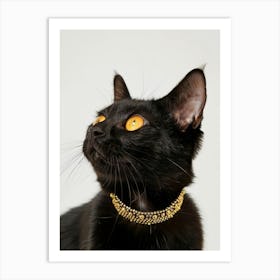 Cat With Gold Collar Art Print