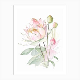 Lotus Flower Bouquet Pencil Illustration 1 Art Print