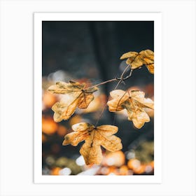 Autumn Leaves Art Print