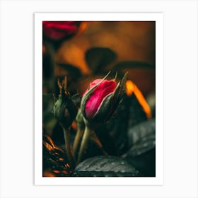 Poster Flower Art Print 4 Art Print