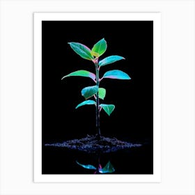 Young Green Plant On Black Background 1 Art Print