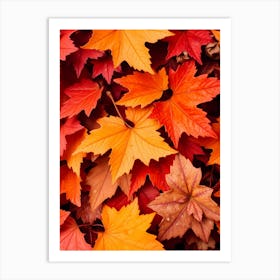 Autumn Leaves Background Art Print