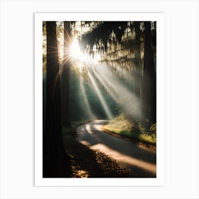 Sunbeams Through The Trees Art Print