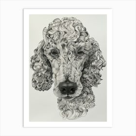 Poodle Dog Wavy Lines 1 Art Print