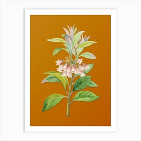 Vintage Chinese New Year Flower Botanical on Sunset Orange n.0740 Art Print