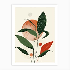 Chinese Evergreen Plant Minimalist Illustration 4 Art Print