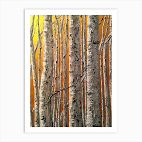 Birch Trees 1 Art Print