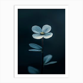 Single Flower 7 Art Print