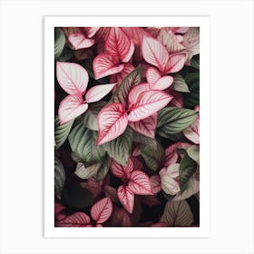 Pink Leaves Art Print