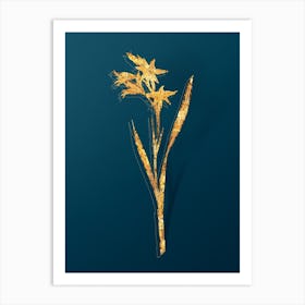 Vintage Gladiolus Cuspidatus Botanical in Gold on Teal Blue n.0224 Art Print