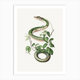 Vine Snake Vintage Art Print