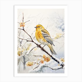 Winter Bird Painting Yellowhammer 1 Art Print