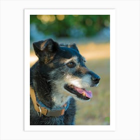 Dog Portrait 20210703 303ppub Art Print