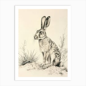 Satin Rabbit Drawing 4 Art Print