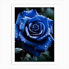 Blue Rose 8 Art Print