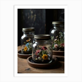 Terrariums Art Print