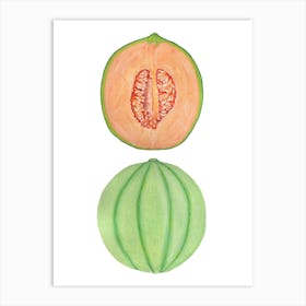 Cantaloupe Melon Art Print