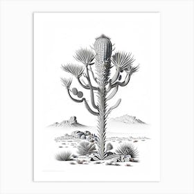 Silver Torch Joshua Tree Vintage Botanical Line Drawing  Art Print