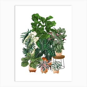Plant Collection 2 Art Print