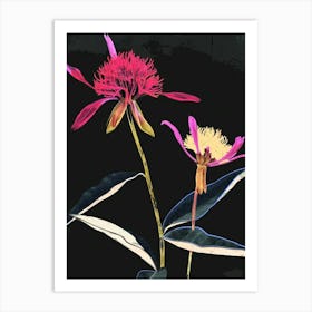 Neon Flowers On Black Globe Amaranth 1 Art Print