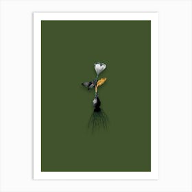 Vintage Cape Tulip Black and White Gold Leaf Floral Art on Olive Green n.0259 Art Print