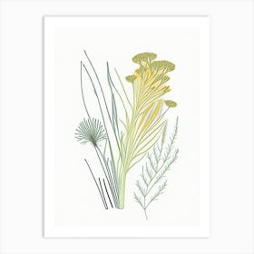 Fennel Seed Spices And Herbs Minimal Line Drawing 4 Art Print