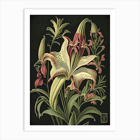 Lilium Floral 1 Botanical Vintage Poster Flower Art Print