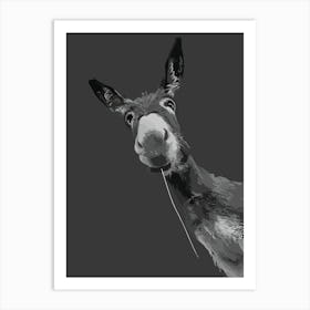 Funny Donkey Grayscale Portrait Art Art Print