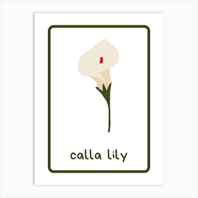 Calla Lily Flower Art Print