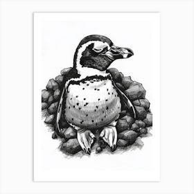 African Penguin Sleeping In A Cozy Pile 3 Art Print