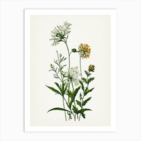 Vintage Botanical Galleria Style Wildflower Painting 10 Art Print