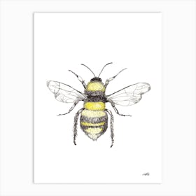 Watercolour Honeybee Art Print