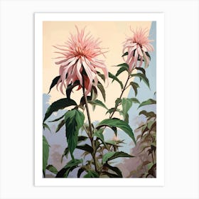 Floral Illustration Bee Balm 1 Art Print