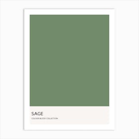 Sage Colour Block Poster Art Print